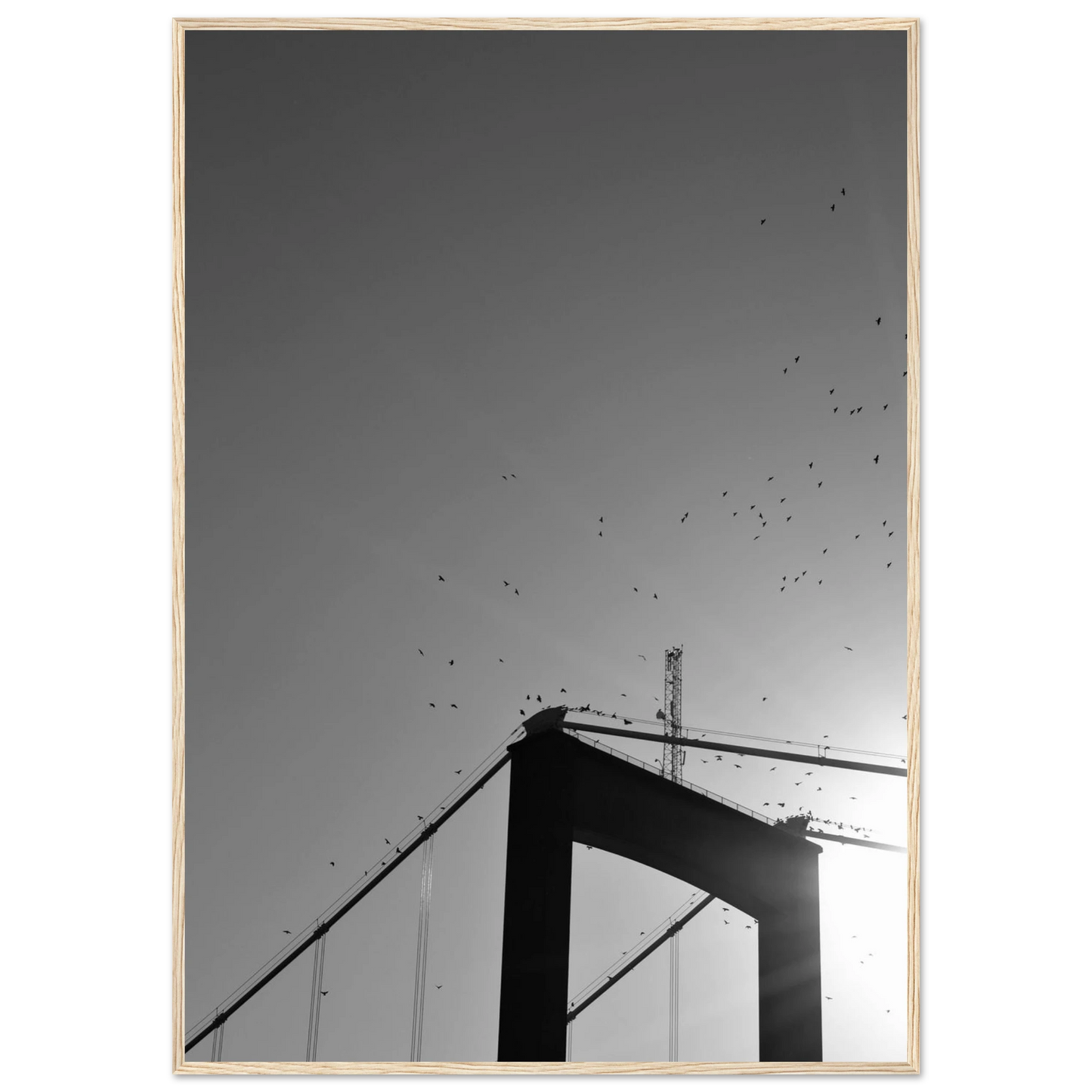 05197358-511b-4c2d-8f67-ab83b0e3c8c9