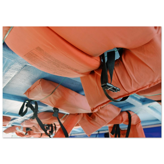 209511f6-0130-4c7d-9970-63bd2957946c