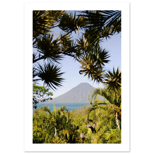 62d21b97-0080-48f0-aa4d-ddf1f76cd91b