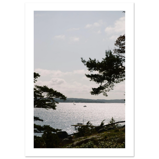 842a0c02-64da-4ac6-a177-be7ce95ab851