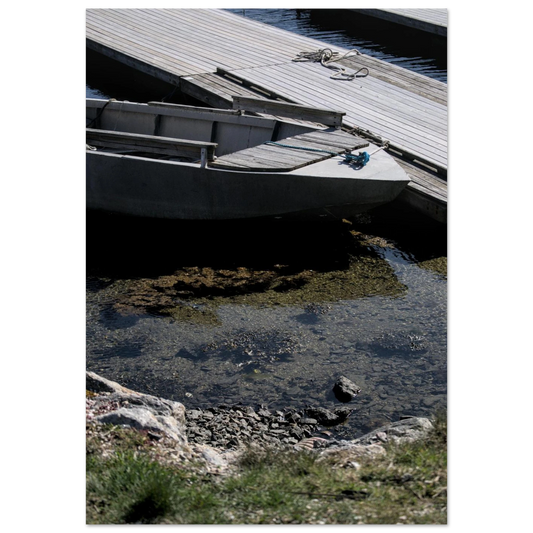 923ead4d-bb47-4770-bc86-19d74e926a47