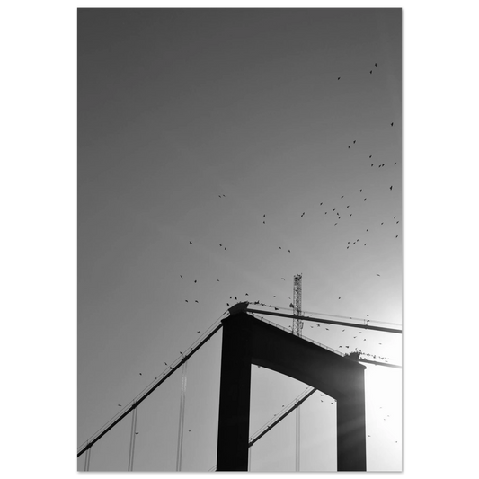 afbcfebc-8f9a-49b7-8690-0ac16c0c46f5