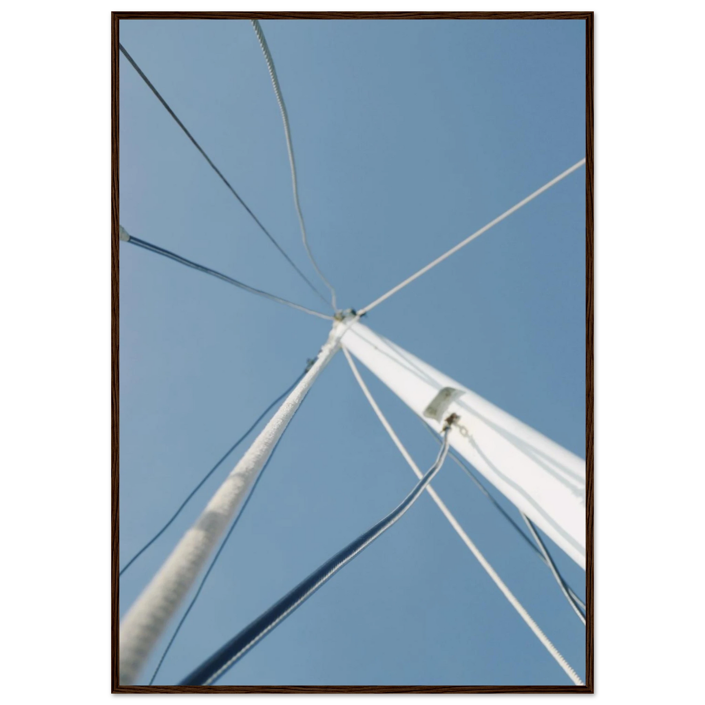 d6514596-09ec-4b0d-84d1-09a031c37586