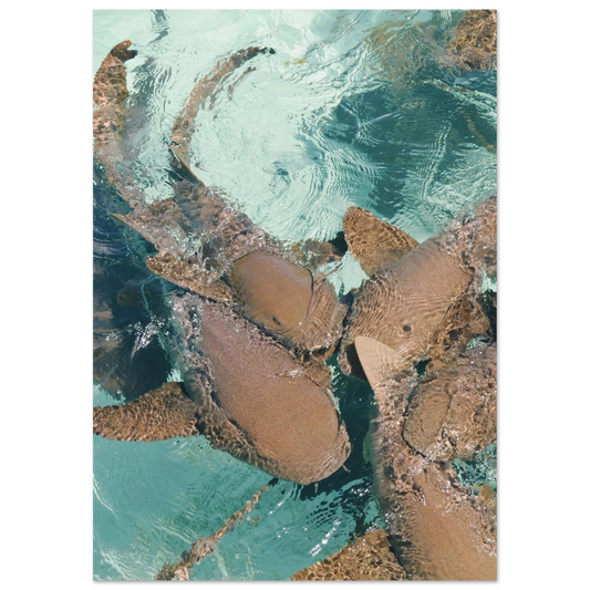 f3cb6d77-ee97-4f89-96f6-44e9c0f21d55