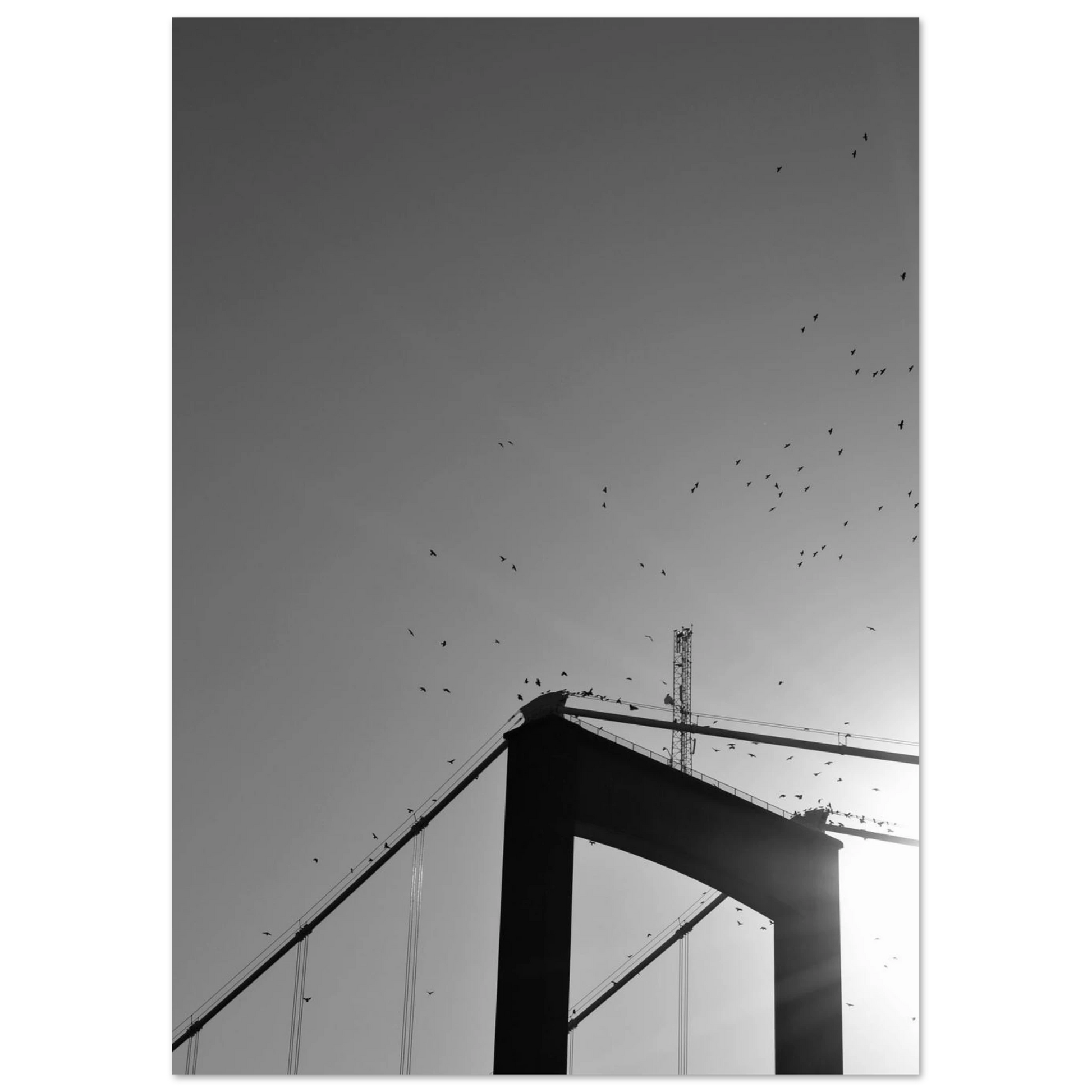 03f1ba07-9648-435e-ab14-8f7f9ff32e48