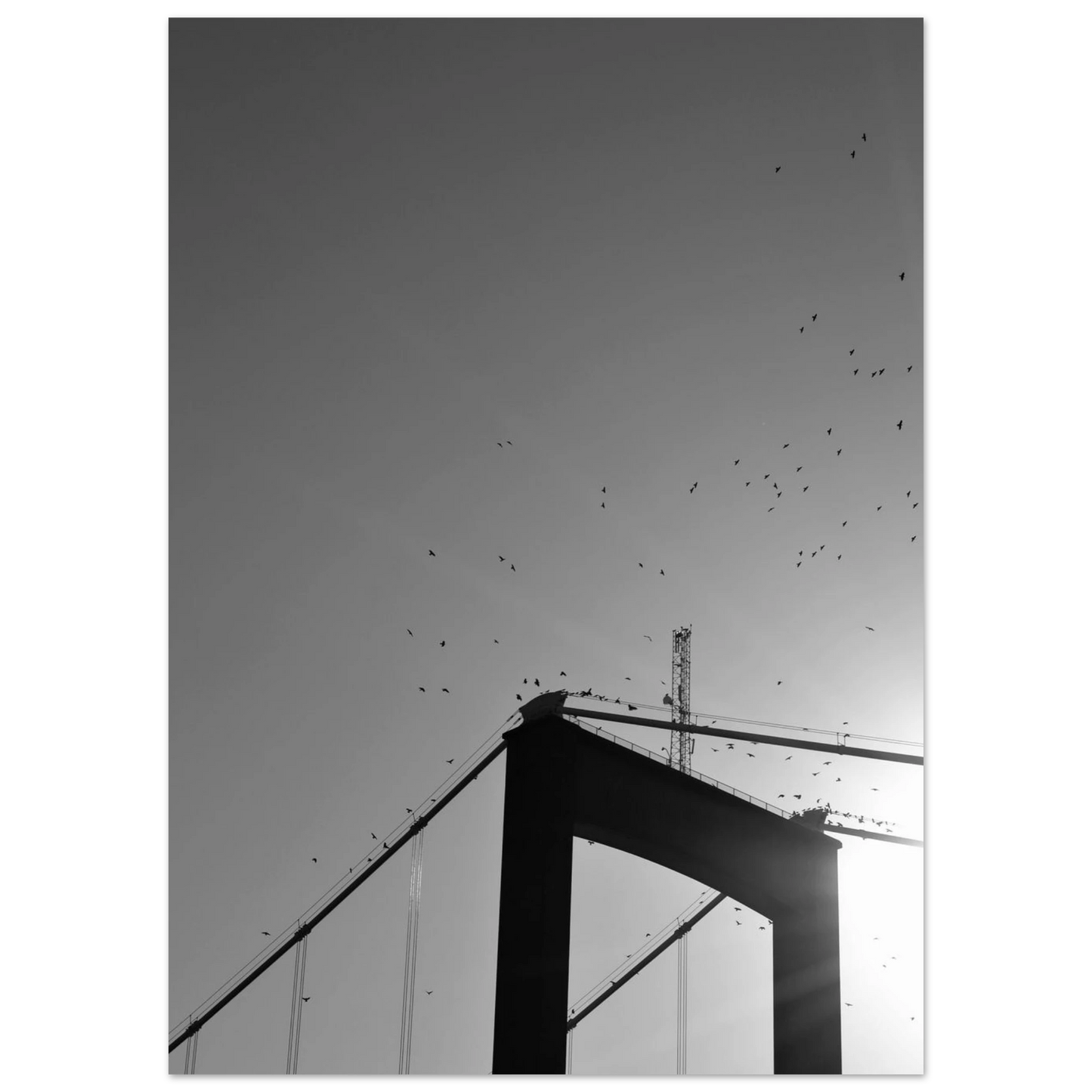 2e0ac887-e6c7-4cc0-bfdc-7a6e7175eec4