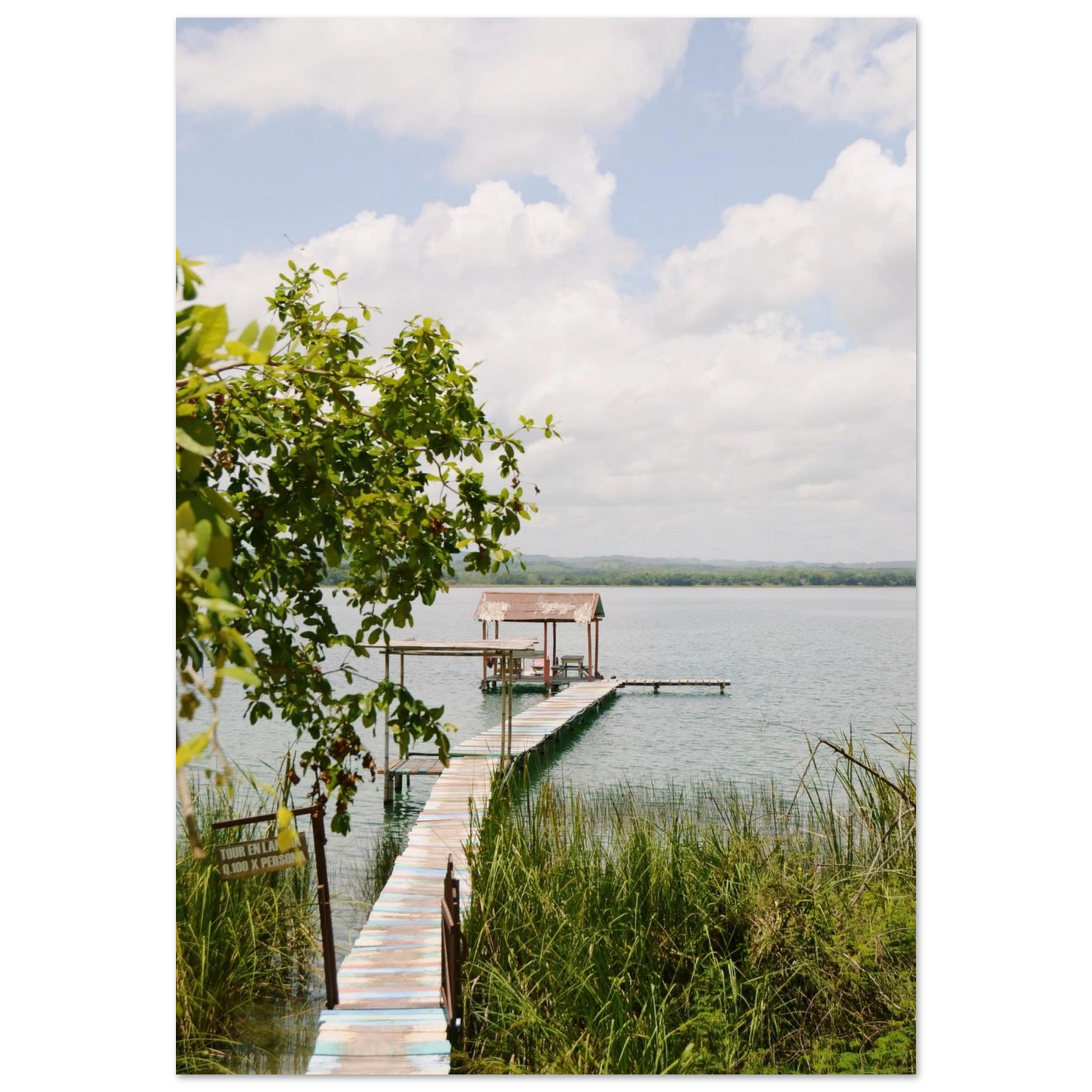 76a54398-9de5-4f45-aefd-27a861f2b9b4